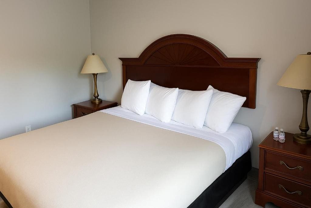 King Room - Disability Access room - Image 3