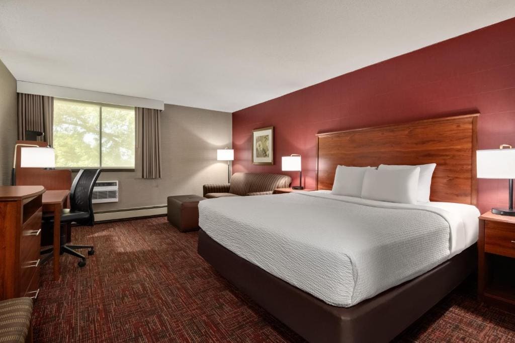 King Room with Sofa Bed - Non-Smoking room - Image 1