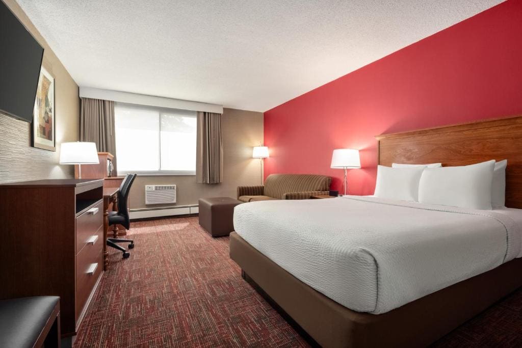 Queen Room with Sofa Bed and Roll-In Shower - Mobility Accessible/Non-Smoking room - Image 3