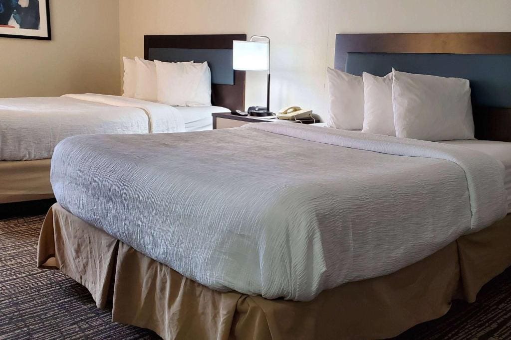 Deluxe King Suite room - Image 1