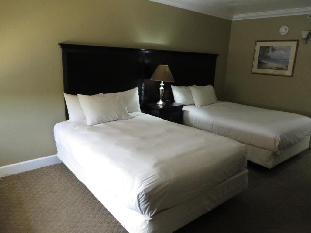 Double Room with Two Double Beds - Non-Smoking room - Image 3