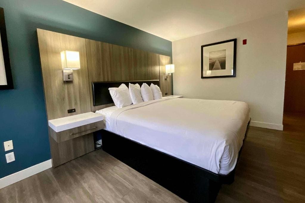 King Room - Non-Smoking room - Image 3