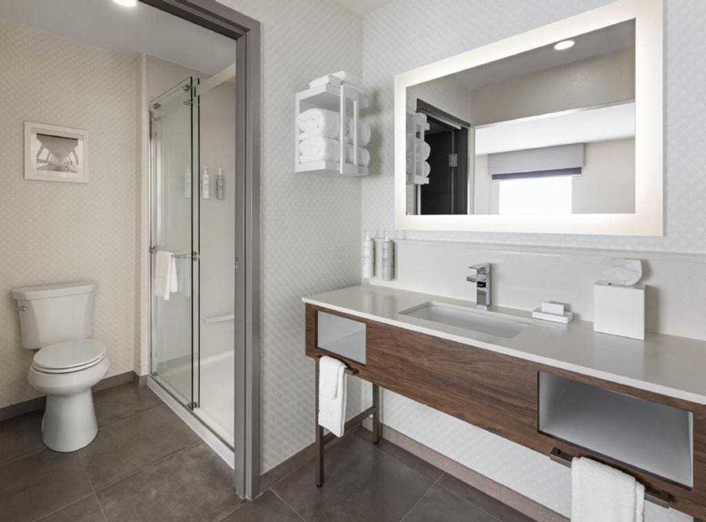King Studio Suite with Sofa Bed - Non-Smoking room - Image 1