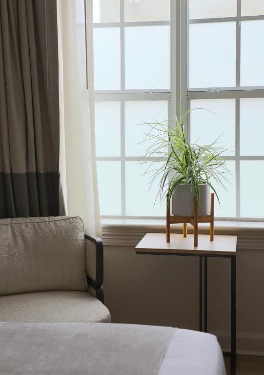 Standard One King room - Image 3