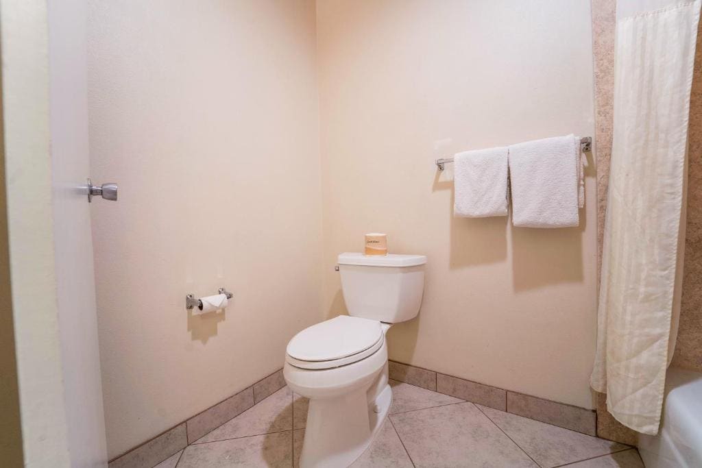 Double Room with Two Double Beds room - Image 1