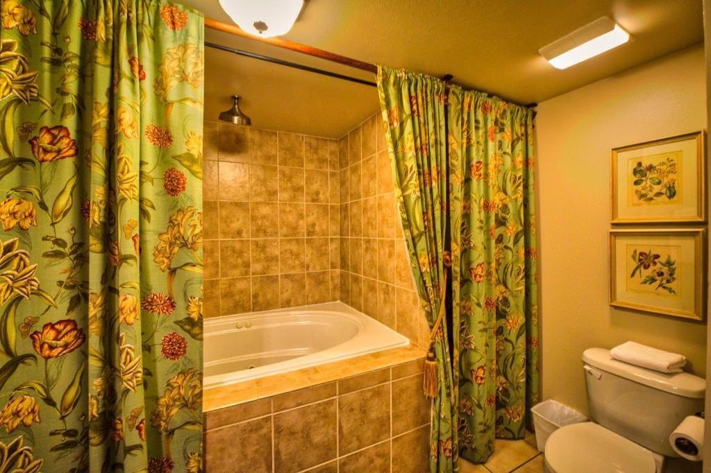 Deluxe One-Bedroom Suite - No Pets room - Image 1