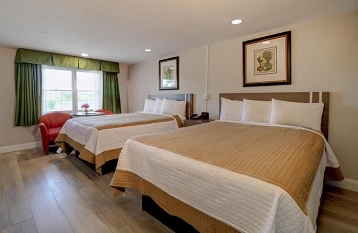 Deluxe Double Room with Two Double Beds room - Image 3