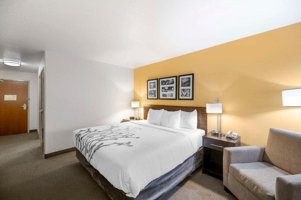 Standard King Room - Non-Smoking room - Image 2