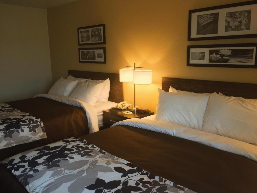 Standard Queen Room with Two Queen Beds - Non-Smoking room - Image 3