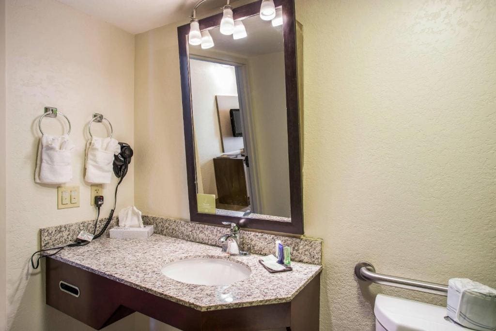 Queen Room with Accessible Tub - Accessible/Non-Smoking room - Image 3
