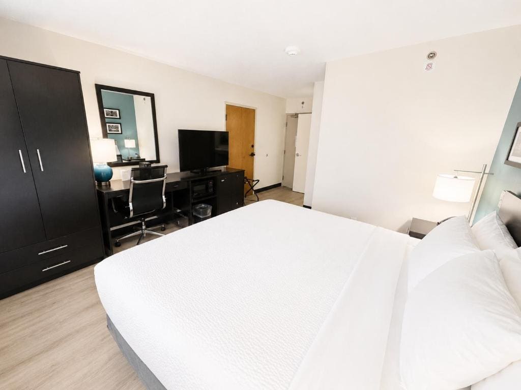 King Room - Accessible/Non-Smoking room - Image 2