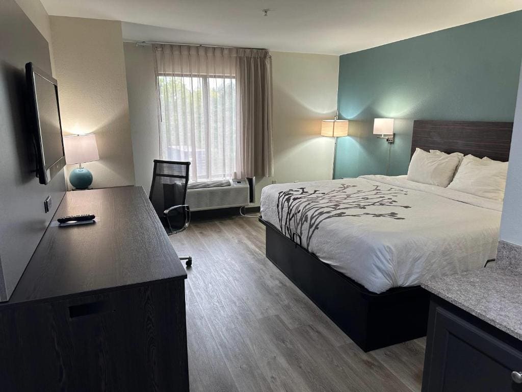 King Room - Non-Smoking room - Image 1