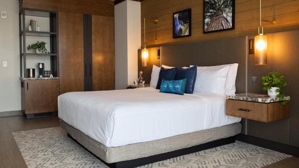 Deluxe King Studio room - Image 1