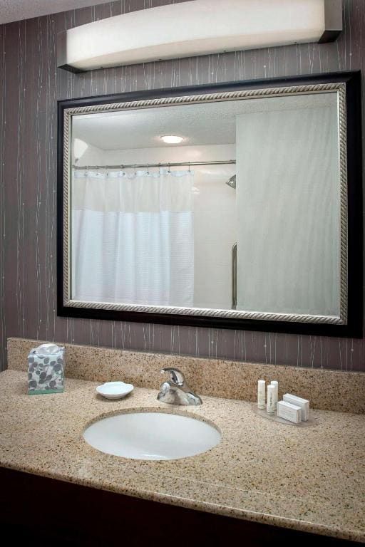 One-Bedroom King Suite - Hearing Accessible room - Image 2