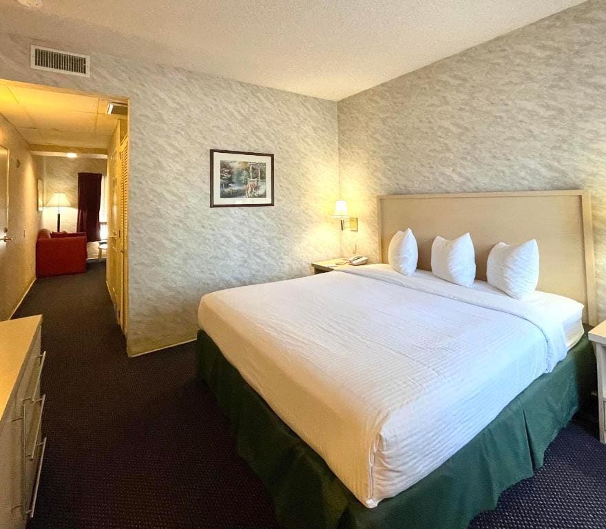 Deluxe King Suite room - Image 1