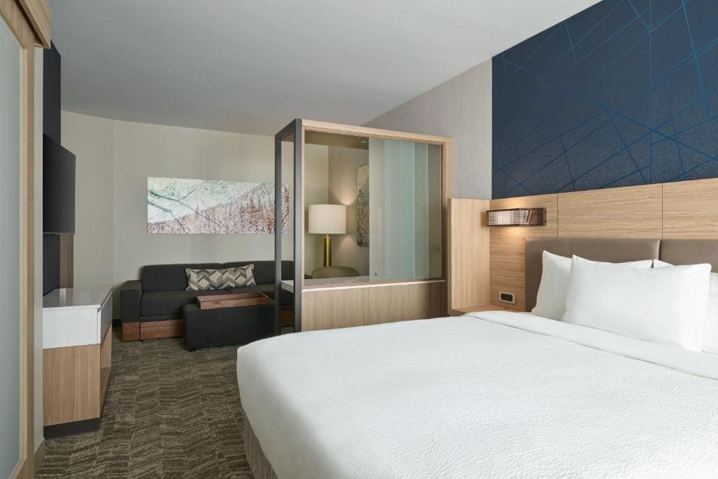 Studio Suite, 1 King Bed with Sofa Bed, Top Floor room - Image 1