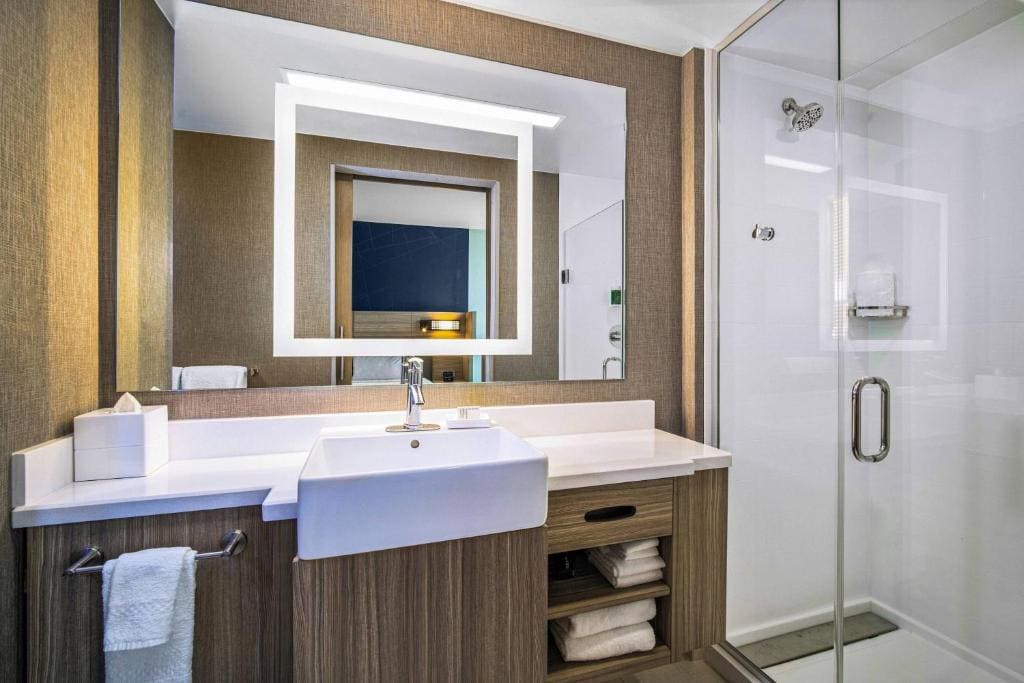 King Suite with Bathtub and Trundle Sofa - Mobility Access room - Image 2