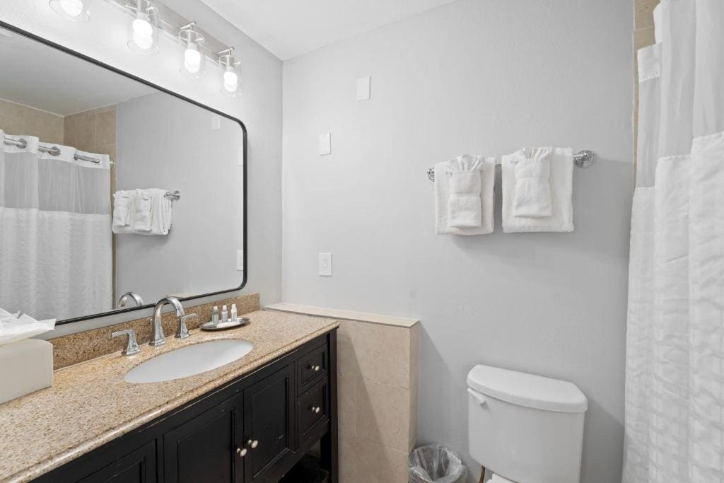 Suite with One King Bed room - Image 2