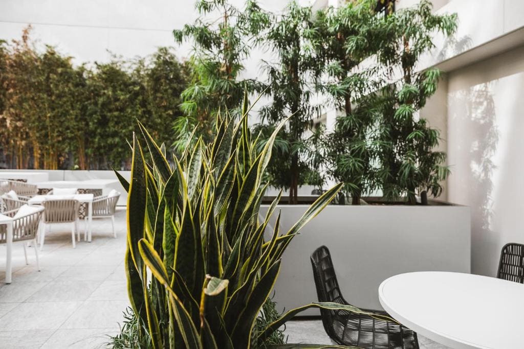 Element Lounge Access, Garden Terrace King room - Image 3