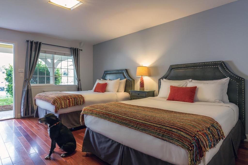 Mountain View Room with Two Queen Beds room - Image 1