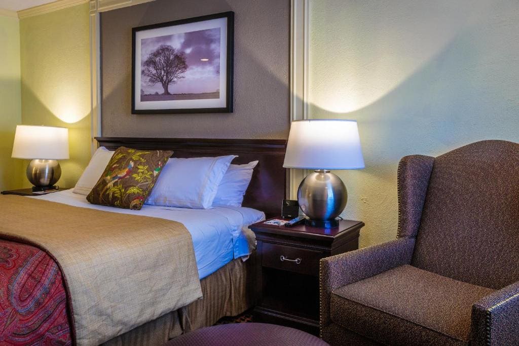 Deluxe King Room room - Image 1