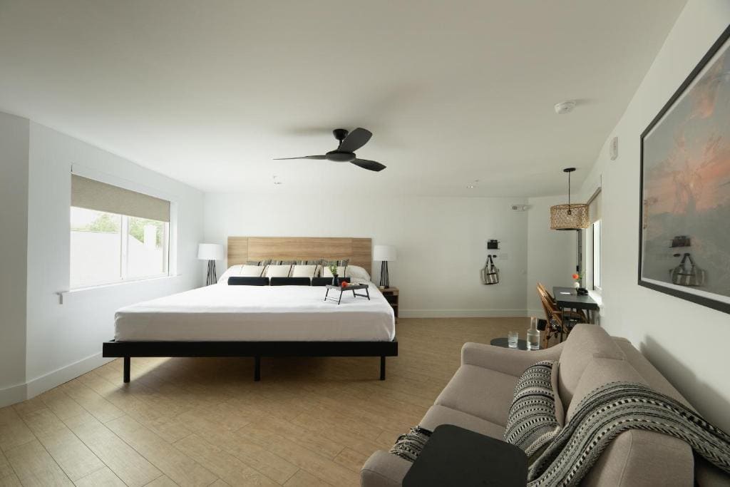Deluxe Suite room - Image 3