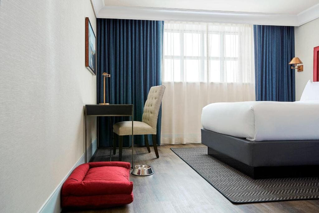 Business King Room room - Image 2
