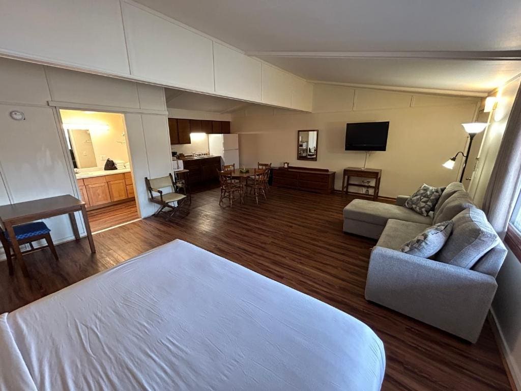 Deluxe King Suite room - Image 1