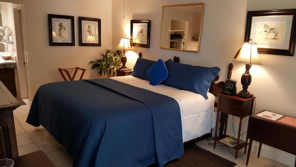 King Room with Patio room - Image 1