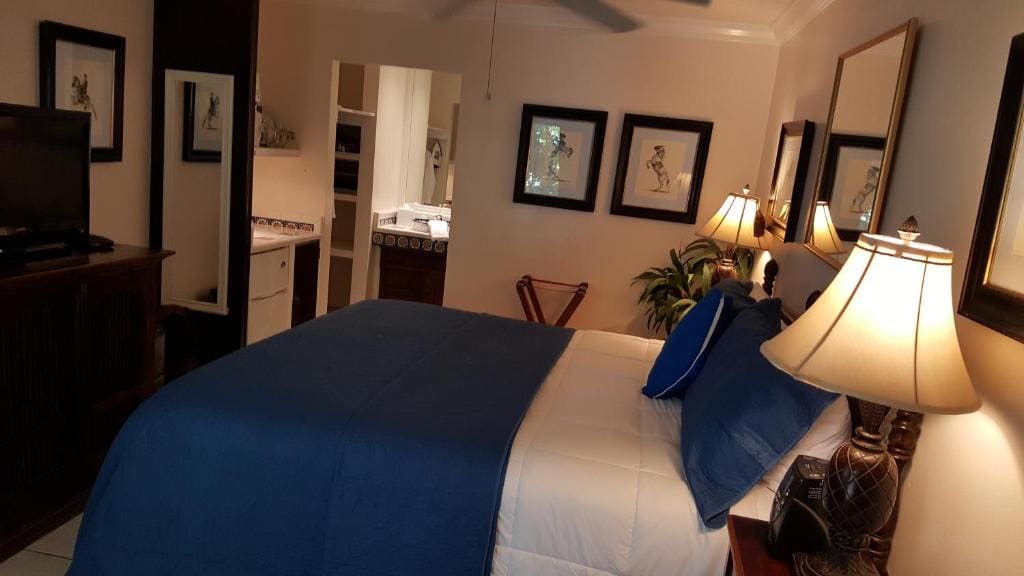 King Room with Patio room - Image 3