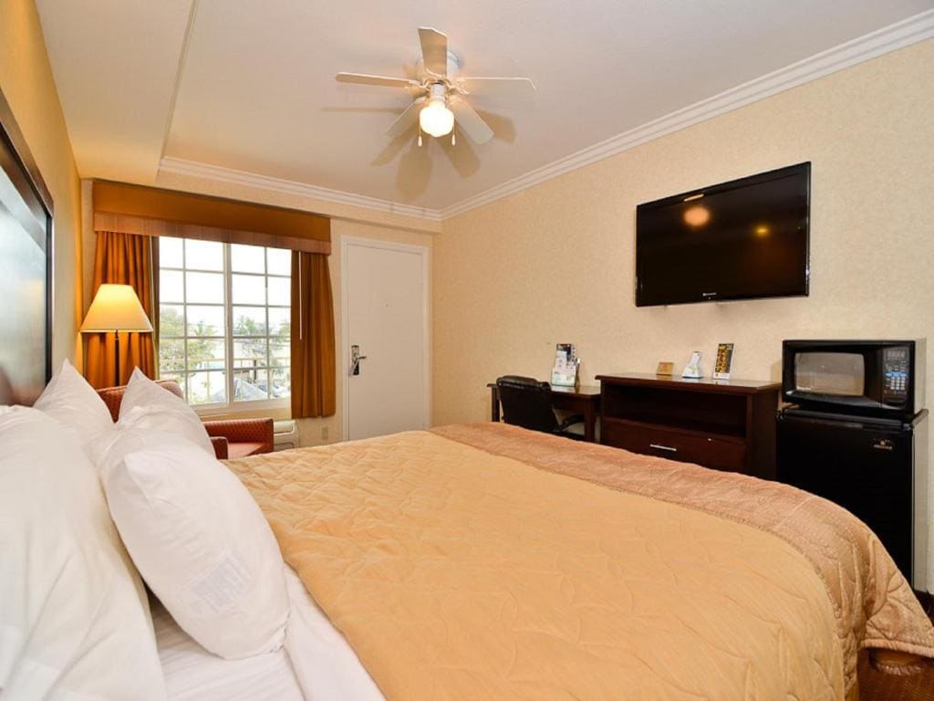 Standard King Room - Non-Smoking room - Image 3