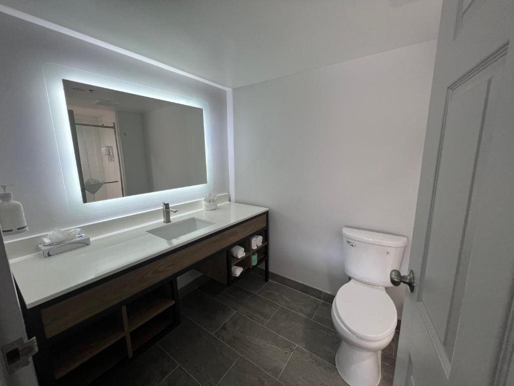King Room - Disability Accessible/Non-Smoking room - Image 3