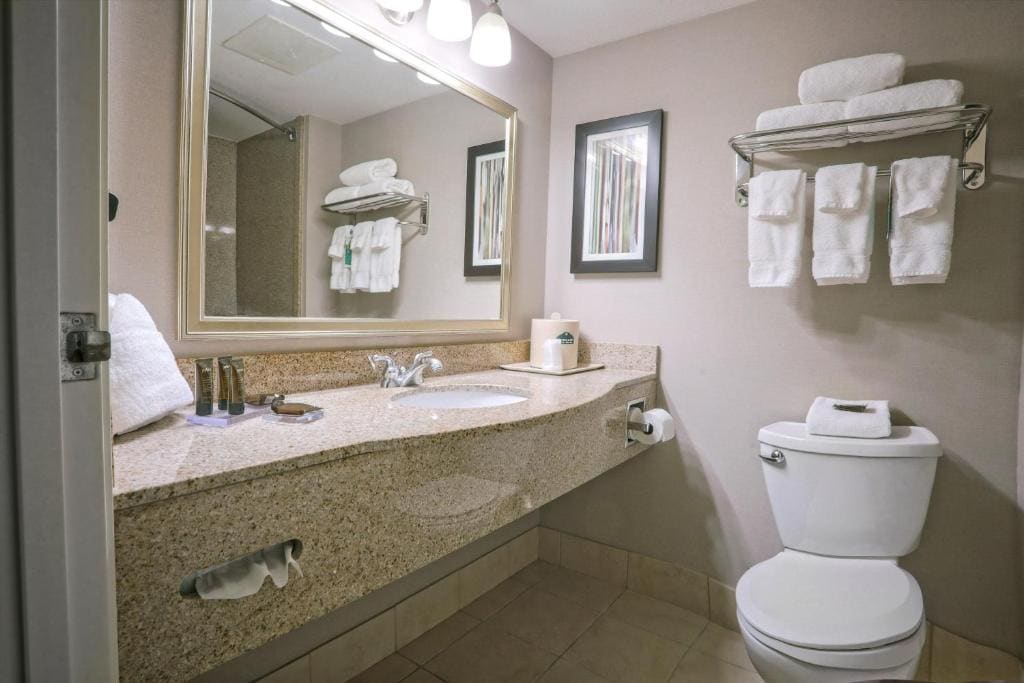 King Studio Suite - Non-Smoking room - Image 3