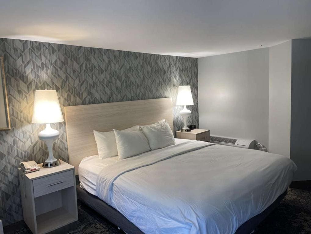 King Room (Not Pet-Friendly) room - Image 1
