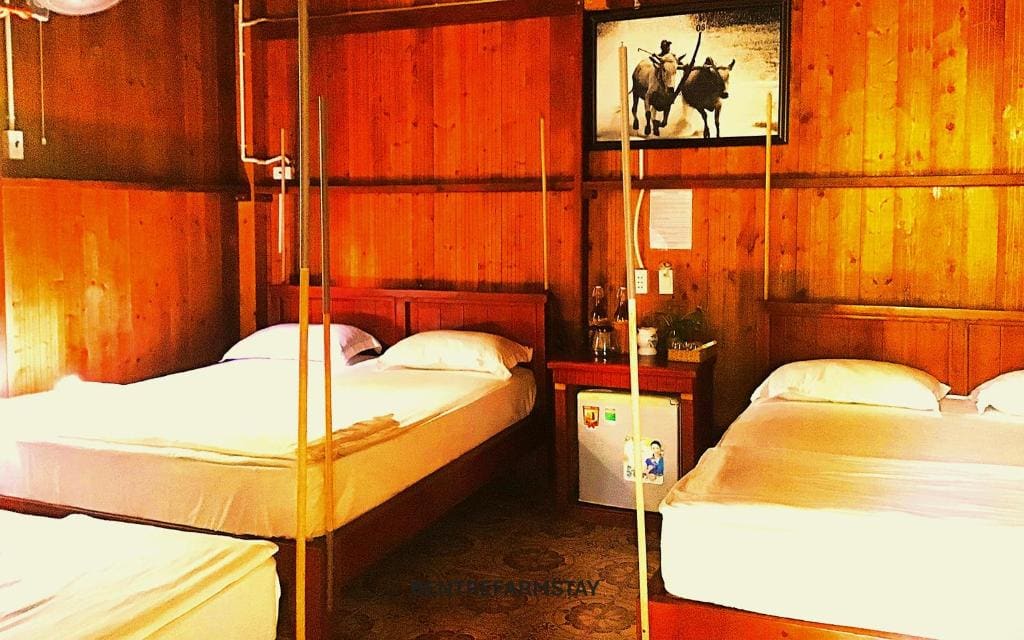 Deluxe Family Room room - Image 1