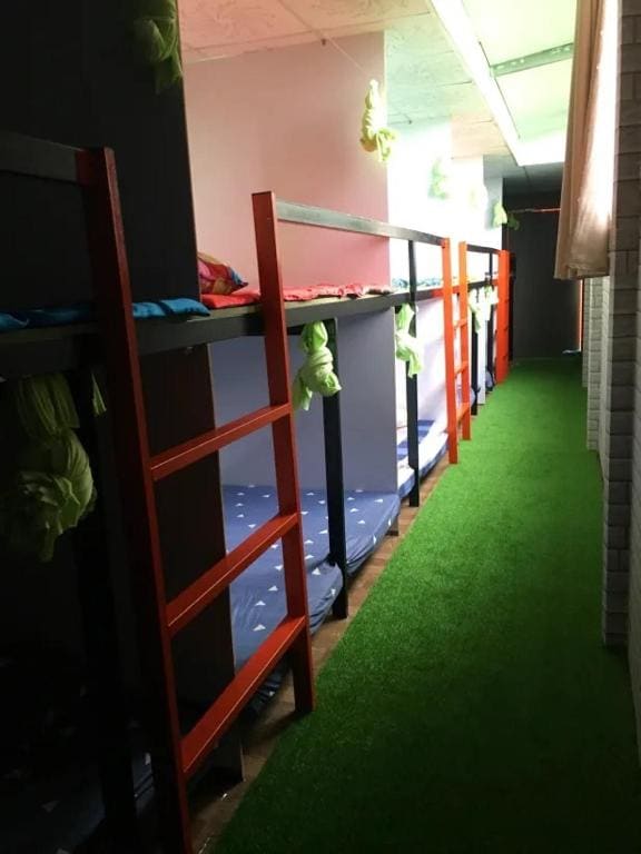 6 Bed Mixed Dormitory Room room - Image 1