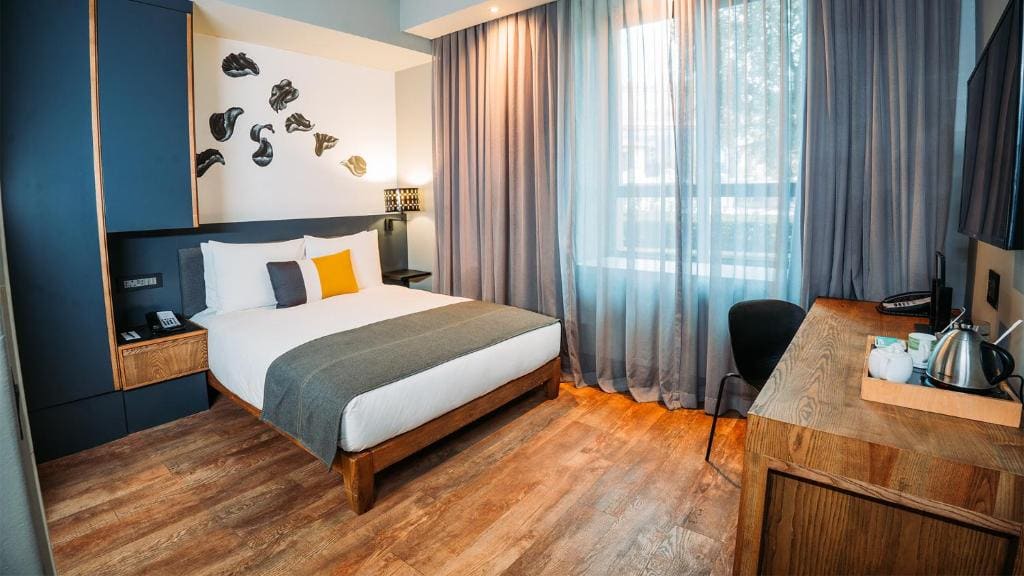 Contemporary Open Plan Room One Queen Bed Paraplegic room - Image 1