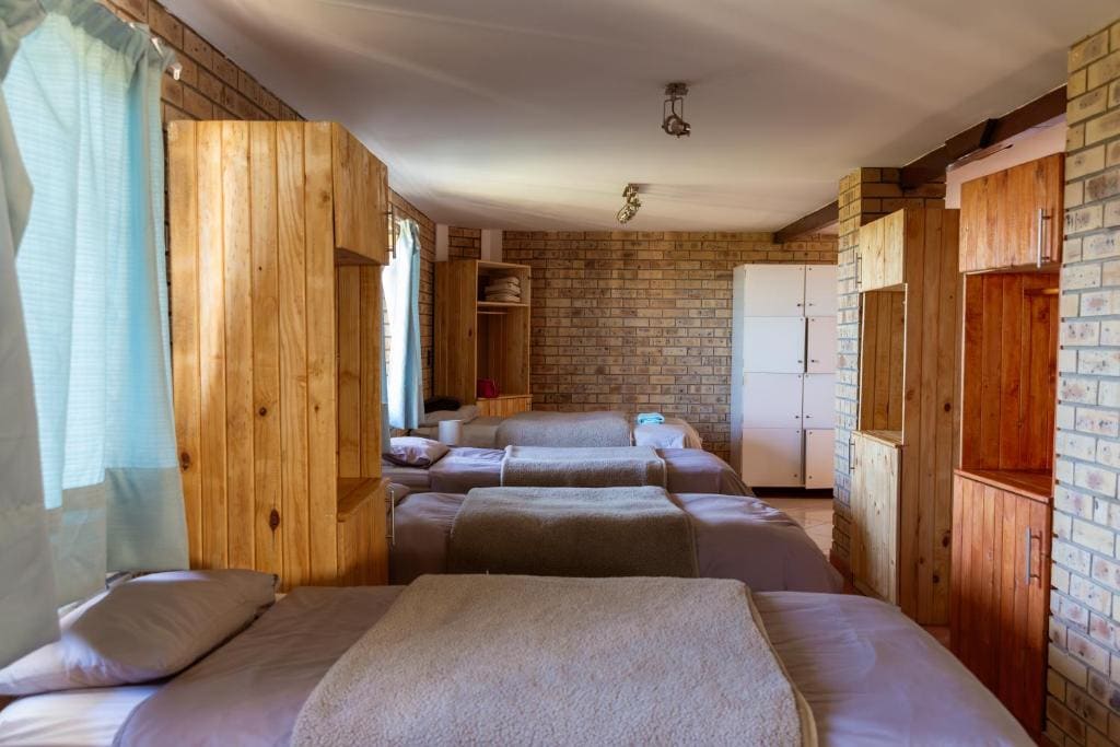 Bed in 7-Bed Dormitory Room room - Image 1