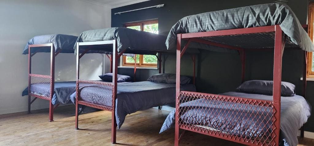 Bunk Bed in Mixed Dormitory Room room - Image 1