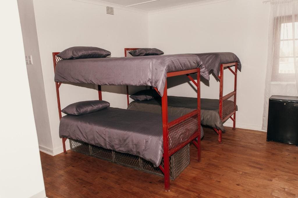 Bunk Bed in Mixed Dormitory Room room - Image 2