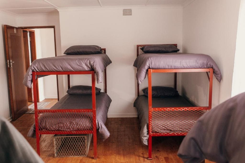Bunk Bed in Mixed Dormitory Room room - Image 3