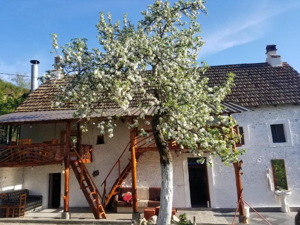 Bujtina Kashnjeti te Lush Zefi - Main view