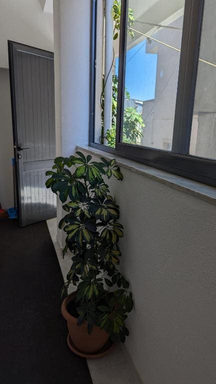 Guest House AZA - View 4