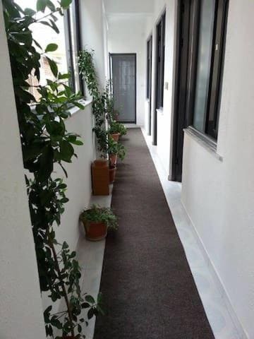 Guest House AZA - View 5