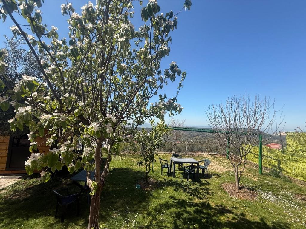 Meti guest house - View 7