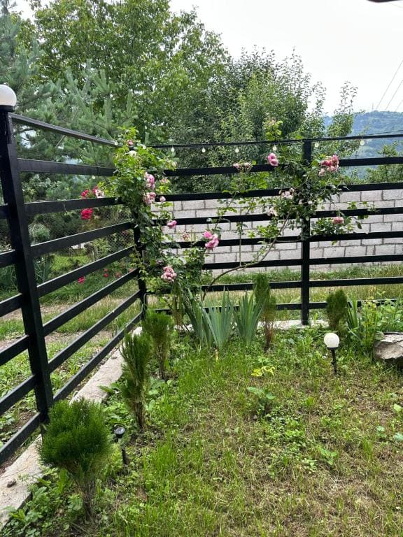 Sweet Home - View 7