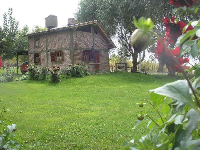Cabañas Tierra del Sol Aldea de Montaña - View 5