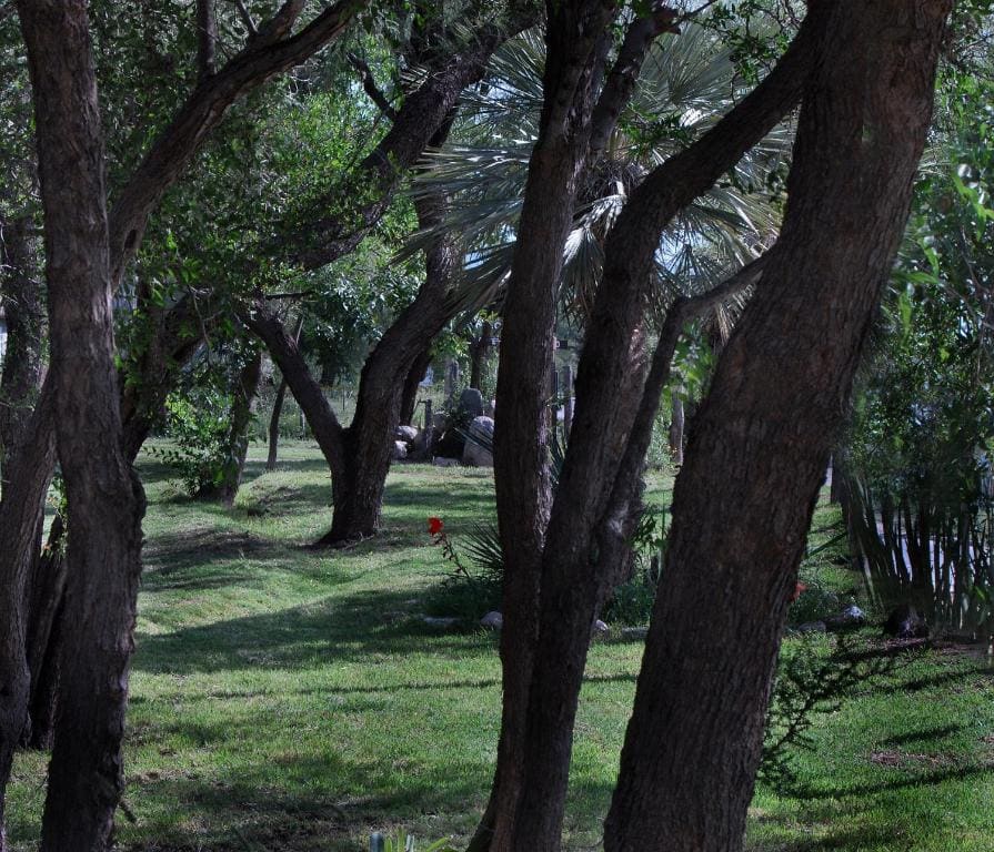 Cabanas en el Jardin Nativo - Main view