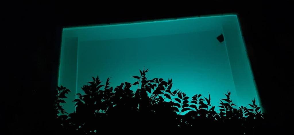 Casa Garay 602 - Weergave 5