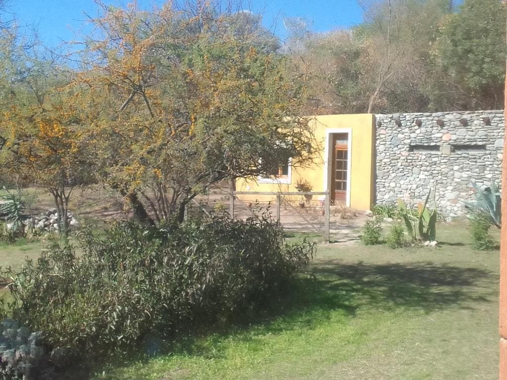 Chañares Majuk - View 5
